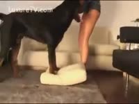 [ Zoophilia Porn ] A dog nimpho